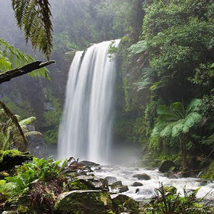 Meet your Posher, Big